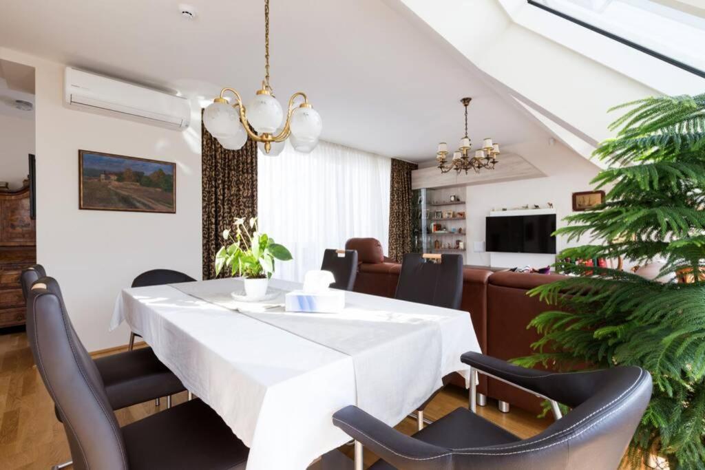 Grosses Penthouse #12 Mit Terrasse Und Aussicht Apartment Vienna Exterior photo